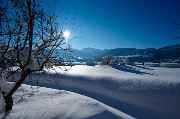 Gasthof Zum Hirsch Görisried Exteriér fotografie